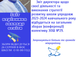 Звіт 2024