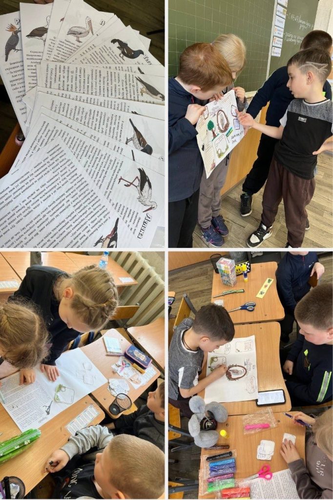 658168463 1351018643505444 4745416474968487697 N