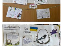 662685714 1351018636838778 5456032311187422831 N (1)