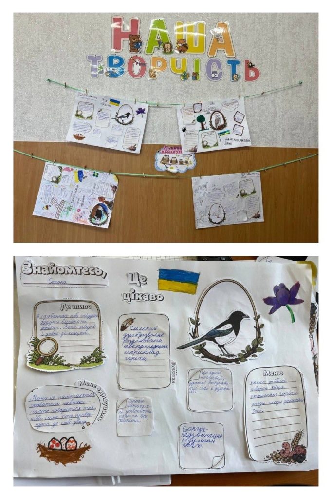 662685714 1351018636838778 5456032311187422831 N (1)