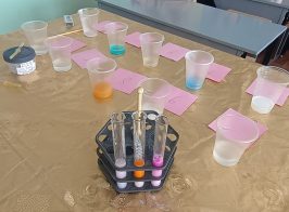 74540e21 1dc6 4809 A6b0 56af4849d5a8